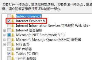 win7系统没有安装自带ie浏览器怎么办？win7系统安装ie浏览器的方法图片6