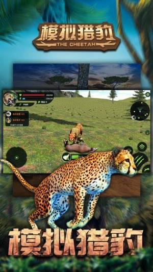 模拟猎豹游戏图3