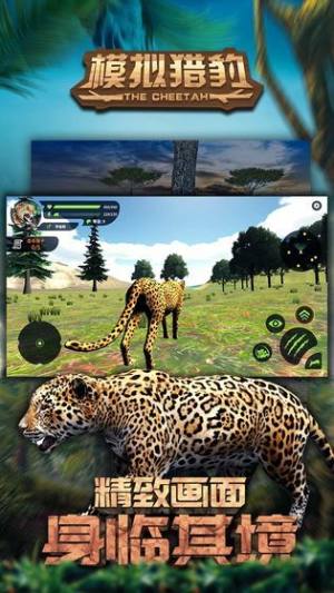 模拟猎豹游戏图1