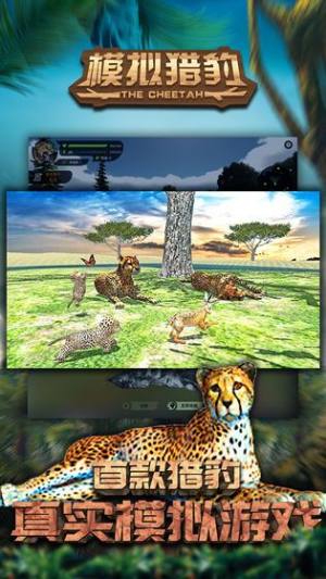 模拟猎豹游戏安卓官方版图片1
