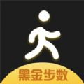 黑金步数app官方手机版 v1.0