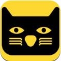 炼金猫app