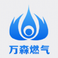 吉林万森燃气app苹果版官方 v1.0.0