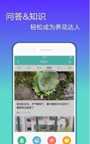 花信社交聊天app官方版图片1