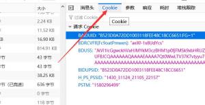 使用浏览器时复制cookie数据的方法图片6