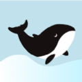 鲸心社交app官方版 v1.0