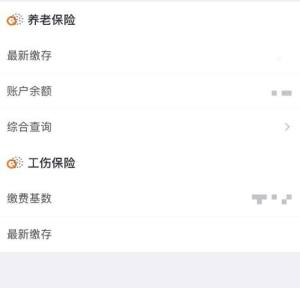 使用微信查看社保的方法图片7