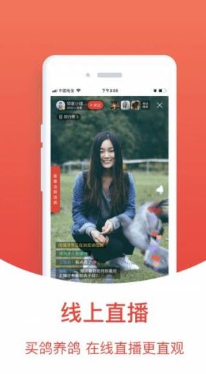 免费天落鸟查询网查成绩软件app（搜鸽天下）图片1