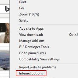 在Internet Explorer中清除Cookie和浏览记录[多图]图片2