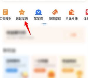 支付宝蚂蚁星愿怎么开启合攒图片3