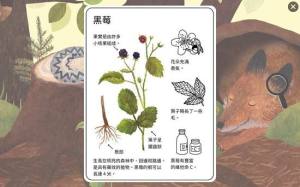 小棕鼠的自然生态百科游戏下载官方版(Little Mouses Encyclopedia)图片2