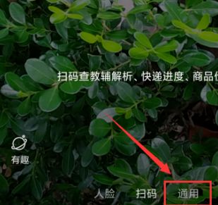 通过百度如何快速识别各种植物[多图]图片3