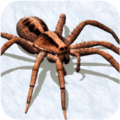 吊德斯解说打蜘蛛模拟器游戏官方手机版 v1.0