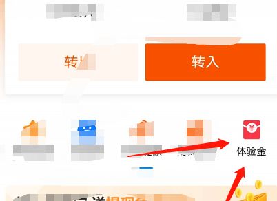 支付宝体验金在哪里可以领取[多图]图片4