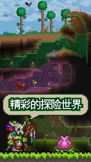 泰拉瑞亚1.5国际版图3