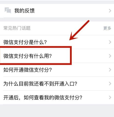 微信中的支付分有什么具体作用[多图]图片5