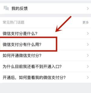 微信中的支付分有什么具体作用图片5
