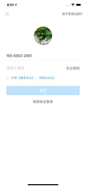 桐行通app图3