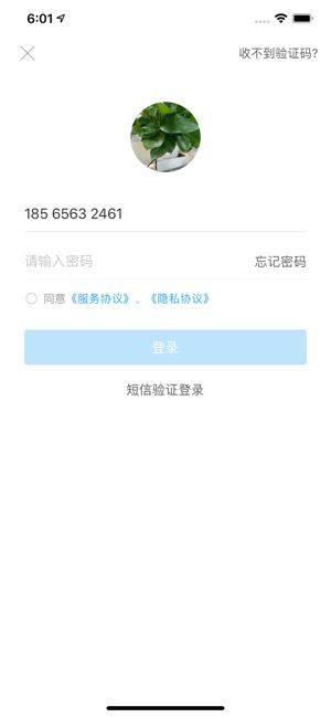 桐行通app图3