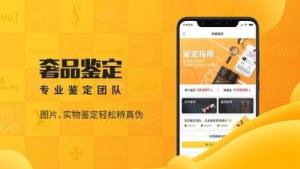 胖虎二手奢侈品官方app手机版图片3