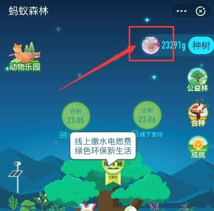 支付宝蚂蚁森林如何查看碳足迹[多图]
