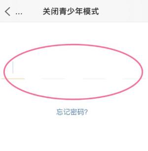 在微博中关闭青少年模式忘记设定的密码怎么办图片6