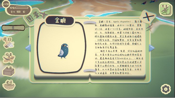 鸟之森游戏安卓版官方版图片1