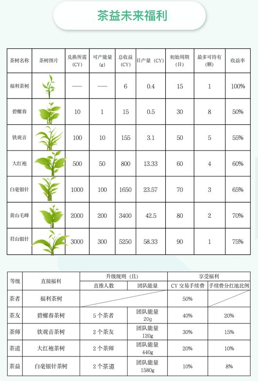 茶益未来app官方手机版图片1