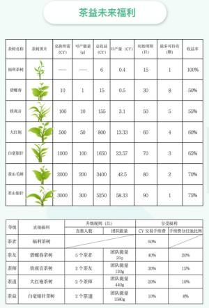 茶益未来app官方手机版图片1