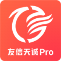 友信天诚pro软件