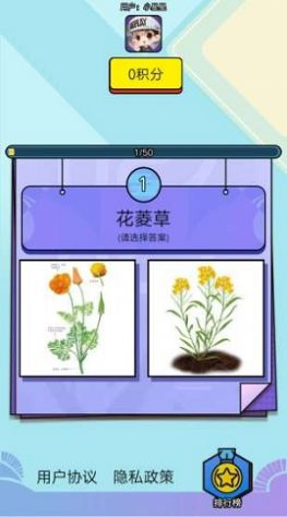 爱上鲜花红包版图2