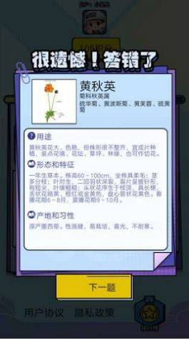 爱上鲜花红包版图3