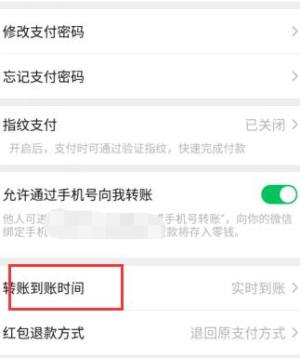 最新版微信如何设置转账延迟到账图片5