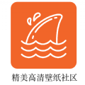 飞鲨壁纸app手机版 v1.7.8