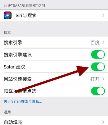 苹果自带浏览器如何开启safari建议功能[多图]