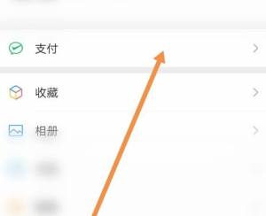 微信支付分在哪里查看图片3