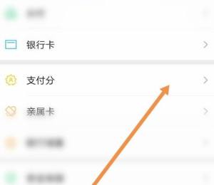 微信支付分在哪里查看图片5