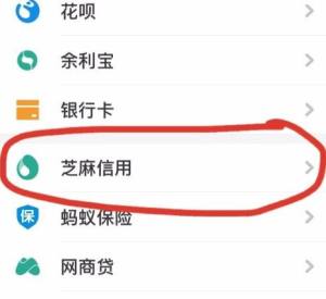 支付宝的芝麻信用授权要怎么才能解绑图片2