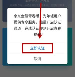 如何切换京东金融到青春版图片6