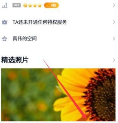 新版手机qq如何置顶好友[多图]图片4