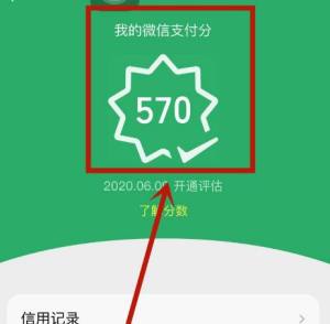 怎么才能提升自己微信中的支付分图片1
