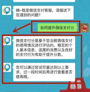 怎么才能提升自己微信中的支付分图片6