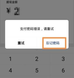 微信转账密码忘记了怎么办图片2
