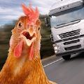 chicken simulator crossy road游