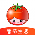 番茄生活官方app软件下载 v1.2.2