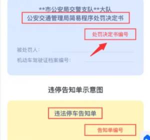 怎么用支付宝进行违章处理和网上缴费图片7