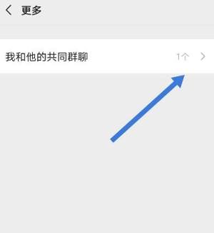 微信怎么查看和好友的共同群聊图片5