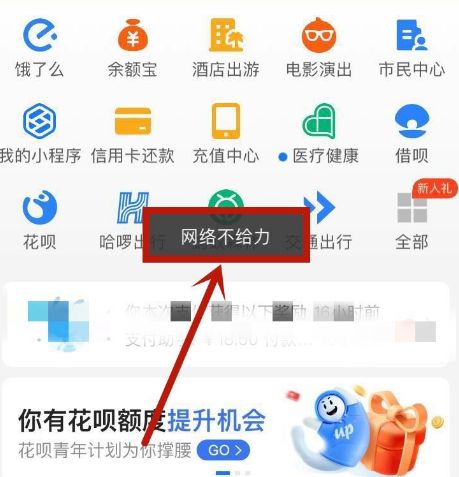 支付宝没有访问网络的权限是怎么回事[多图]图片1