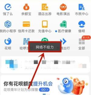 支付宝没有访问网络的权限是怎么回事图片1