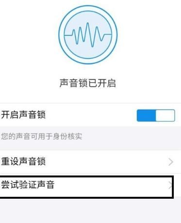 支付宝的“声音”锁怎么使用[多图]图片7